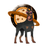 Doberman drôle