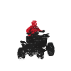 Extreme Quad
