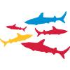 shark