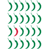 Chilli