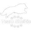 Sheltie Teamdesign