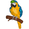 parrot