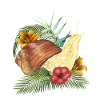 Snail Animal
