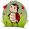Ladybugs in the grass
