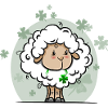 Sheep with cloverleaf