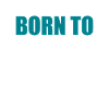 Programmer
