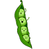 Peas vegetable garden