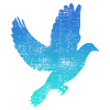 Dove bird dove