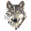 Wolf dog