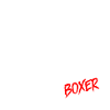 Kickboxing Martial Arts