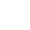 lion beast power gym