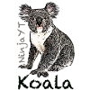 Koala Ninja YouTube