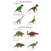 Dinosaur Classification