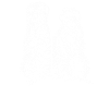 Meerkats