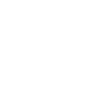 Professor