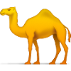 camel