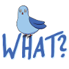 What dove