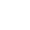 Paraglider