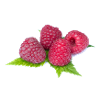 raspberries