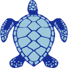 sea turtle animals 60