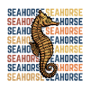 Seahorse