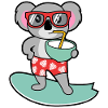 koala