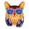 The CoolCat