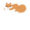 Eichhörnchen - Not today - Eichkätzchen - Geschenk