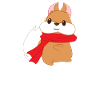 Squirrel - Cool - squirrel - gift