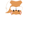Squirrel - Be different - squirrel