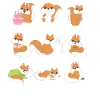 Squirrel - emotions - squirrel - gift