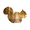 Squirrel forest