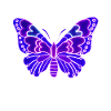 Beautiful light butterfly
