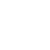 Dampfer aus Leidenschaft