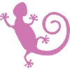 Salamander