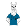 Alpaca Llama medics
