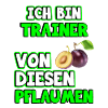 Trainer Sprüche. Ich bin Trainer von Pflaumen