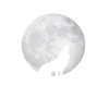 Wolf Moon