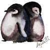 penguins