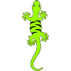 Gecko