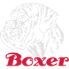 588 Boxer