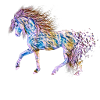 horse