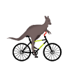 Kangaroo rides his bike
