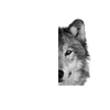Loyal Loyalty Wolf Gift