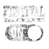 FESTIVAL MODE ON