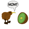 kiwi