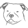 Staffbull HEAD v2 1c_4light