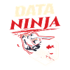 Data Ninja computer programming coder