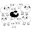 Black sheep