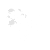 Turtles Heart